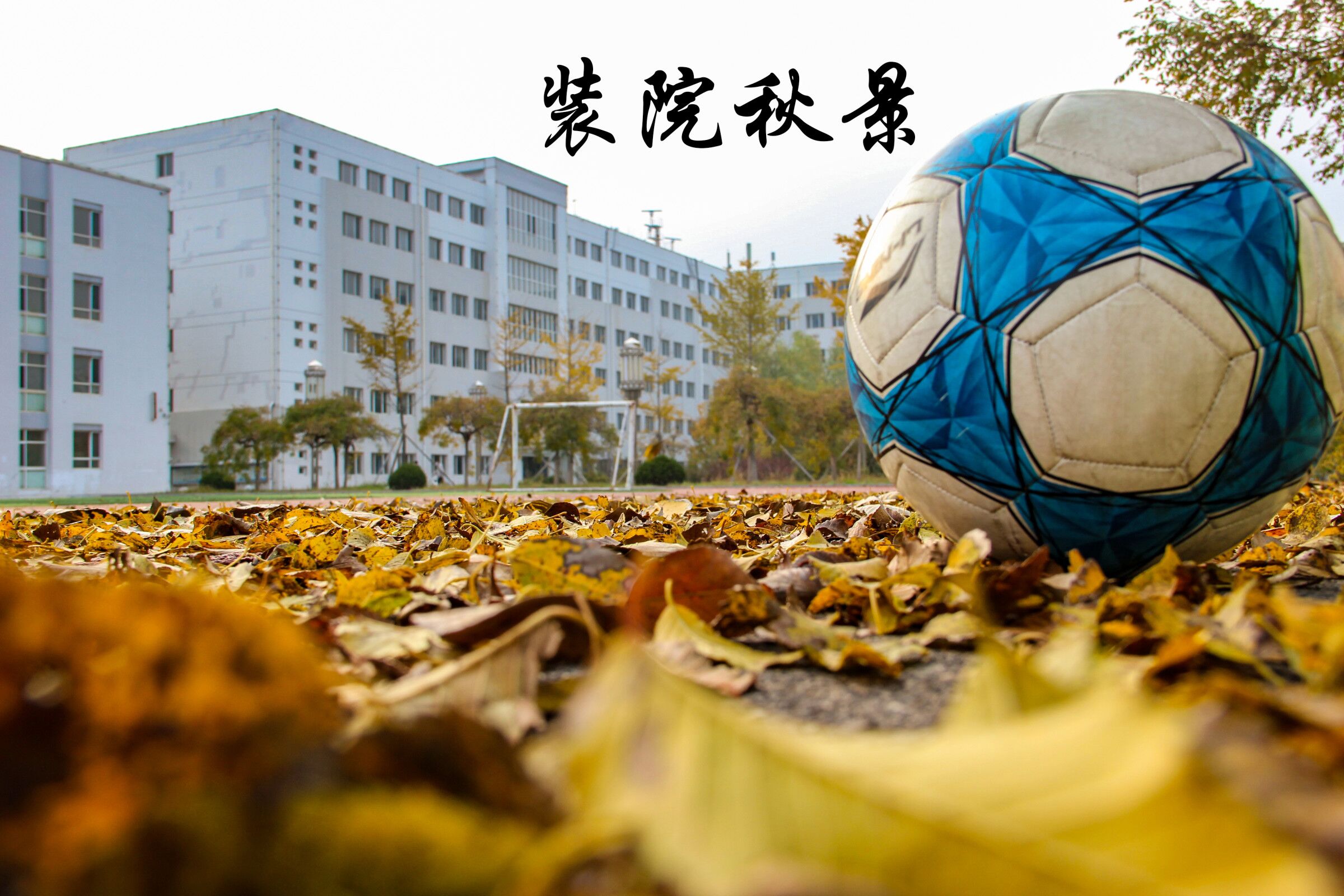 QQ图片20211112134330