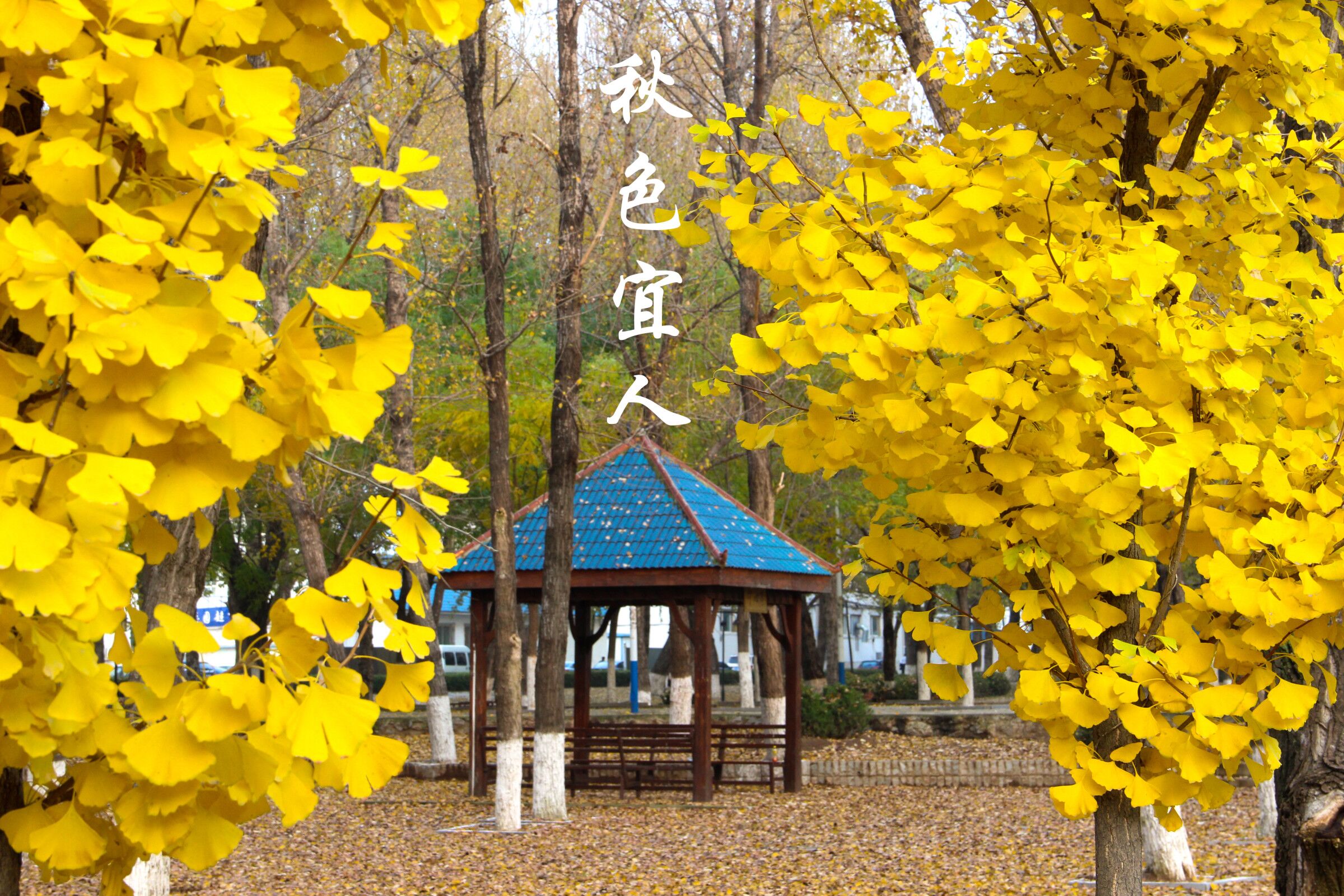 QQ图片20211112134339
